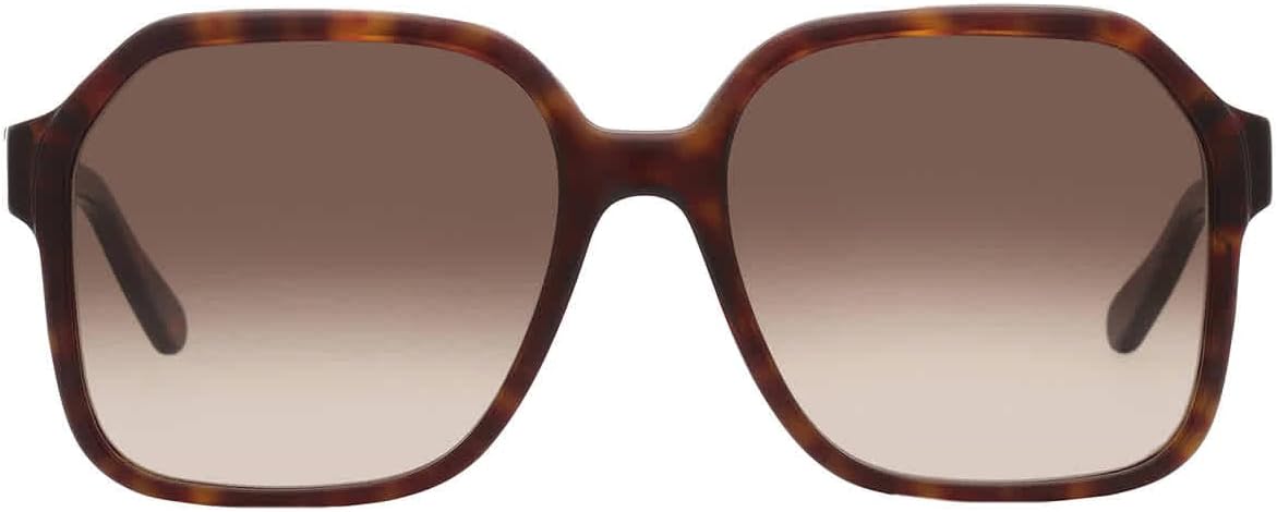 Ferragamo Women's Sf1069s 56Mm Sunglasses, Brown
